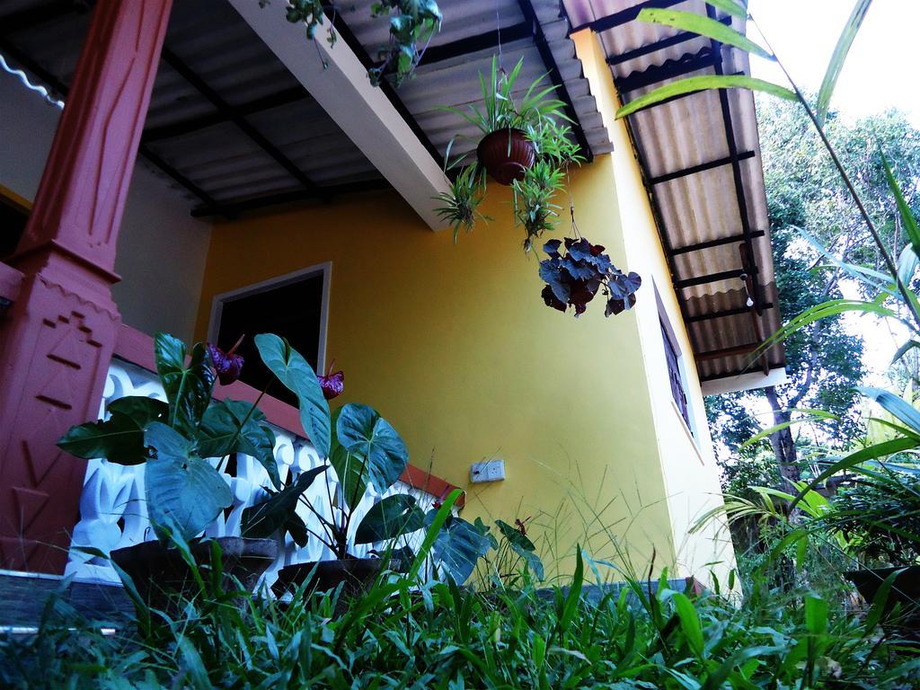 Sigiri Sithru Home Stay สิกิริยา ภายนอก รูปภาพ